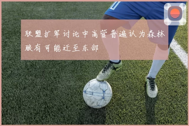 联盟扩军讨论中高管普遍认为森林狼有可能迁至东部